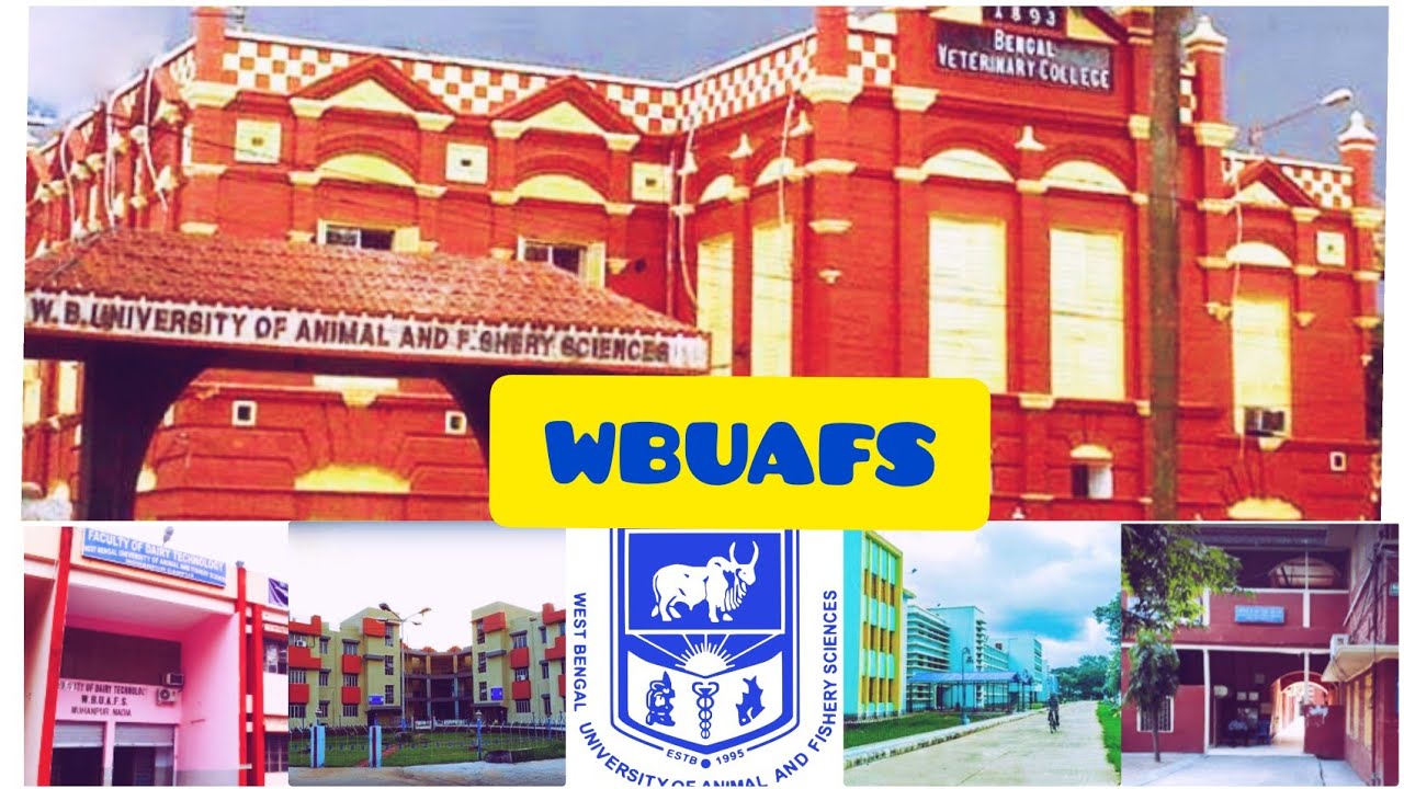 WBUAFS – slide 1