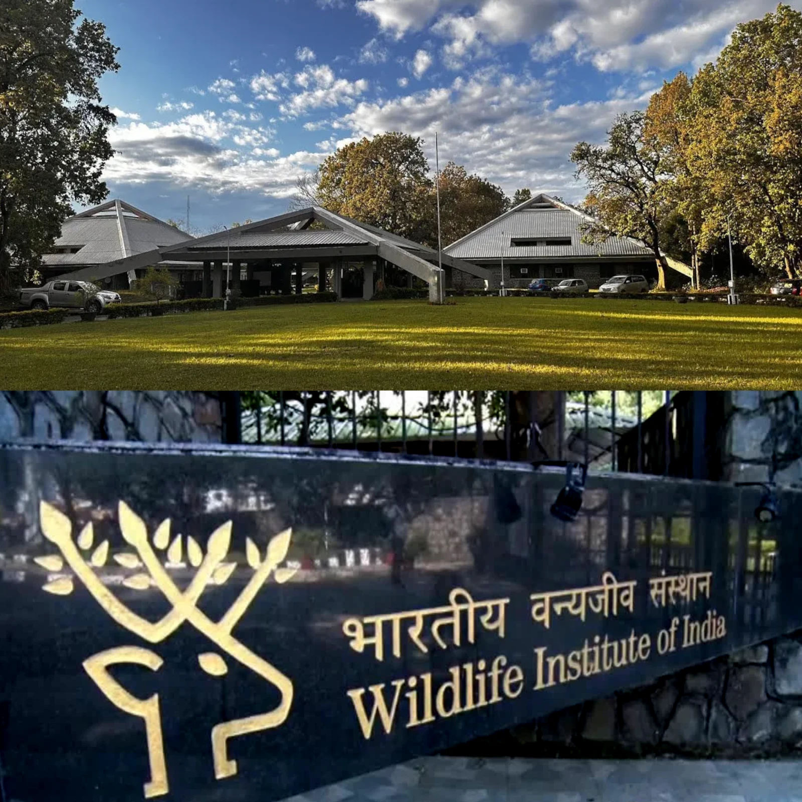 Wildlife Institute of India Dehradun – slide 1