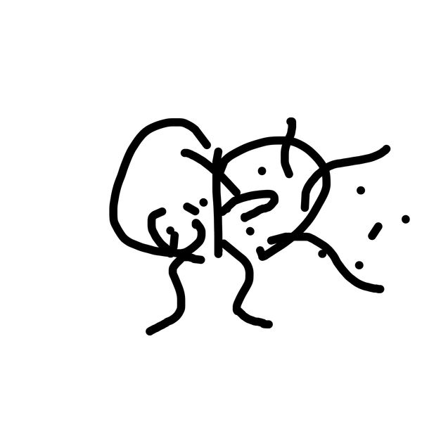 Getadoodle #17773