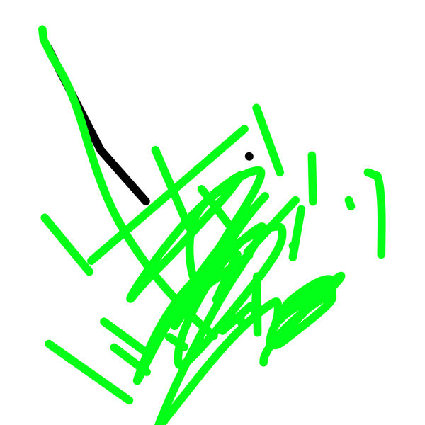 Getadoodle #17790