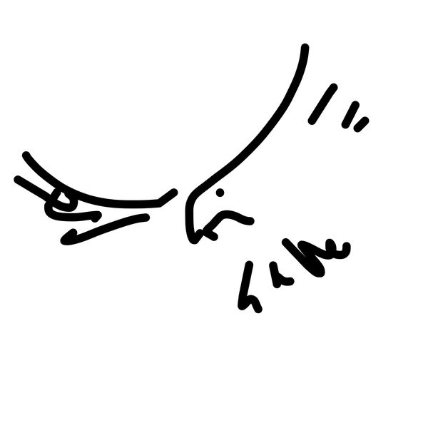 Getadoodle #17811