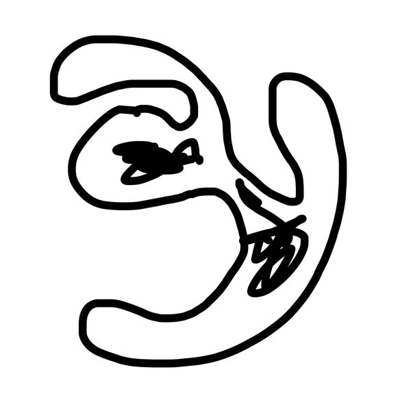Getadoodle #17883