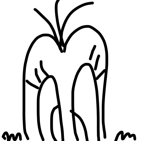 Getadoodle #17957