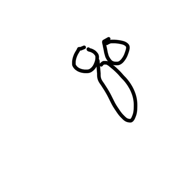 Getadoodle #17981