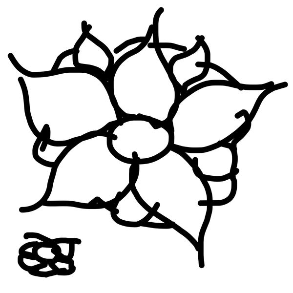 Getadoodle #18188