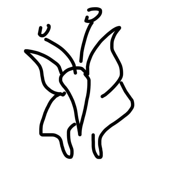 Getadoodle #18402