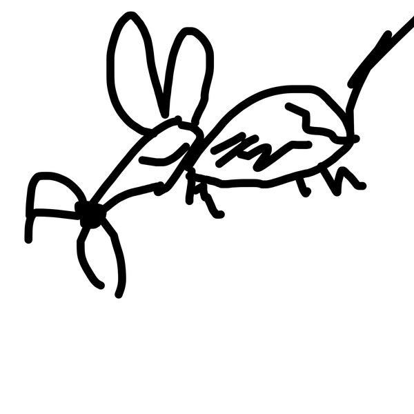 Getadoodle #18882