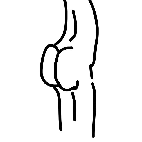 Getadoodle #19081