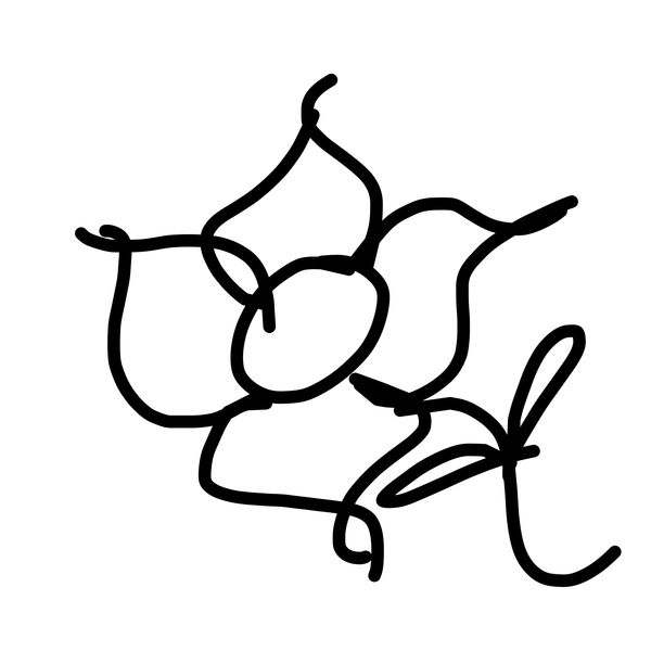 Getadoodle #19316