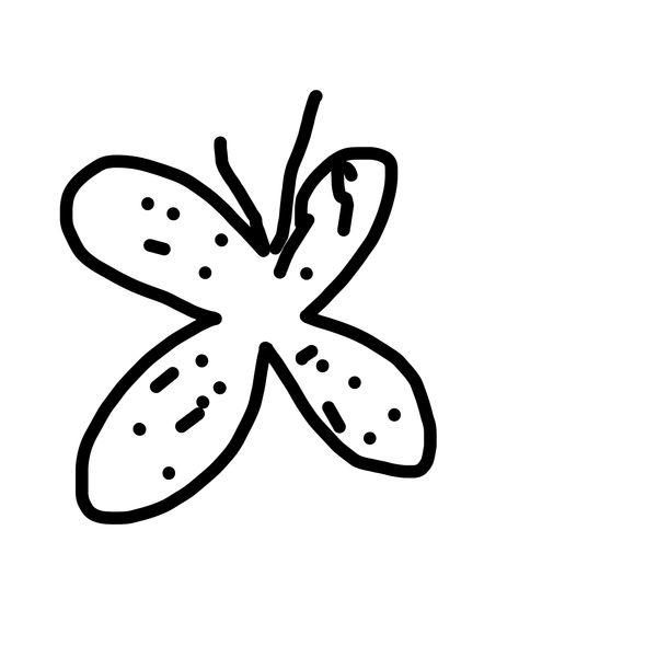 Getadoodle #23322
