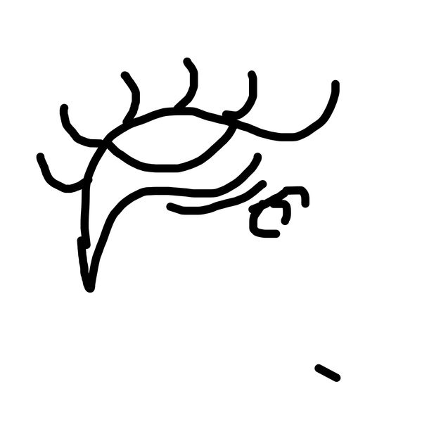 Getadoodle #23380
