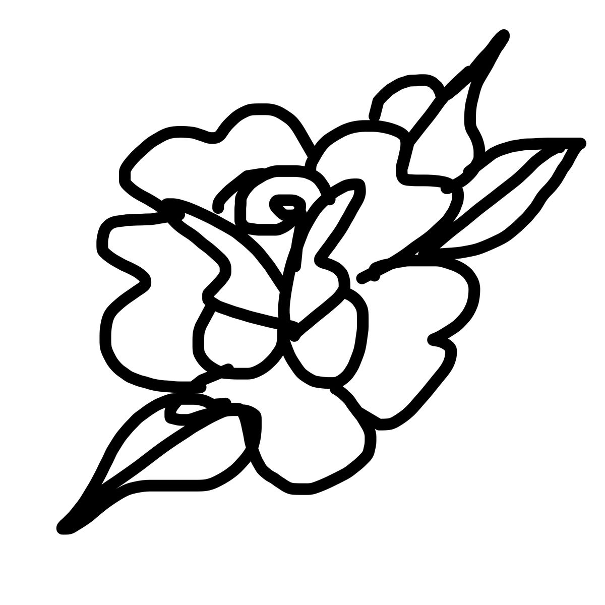 Black ink drawing of a rose in bloom