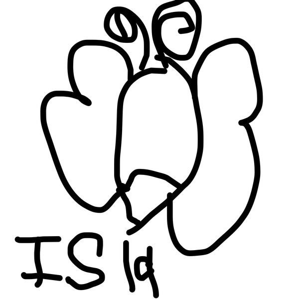 Getadoodle #24975