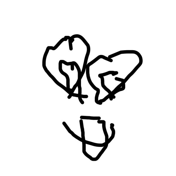 Getadoodle #25163