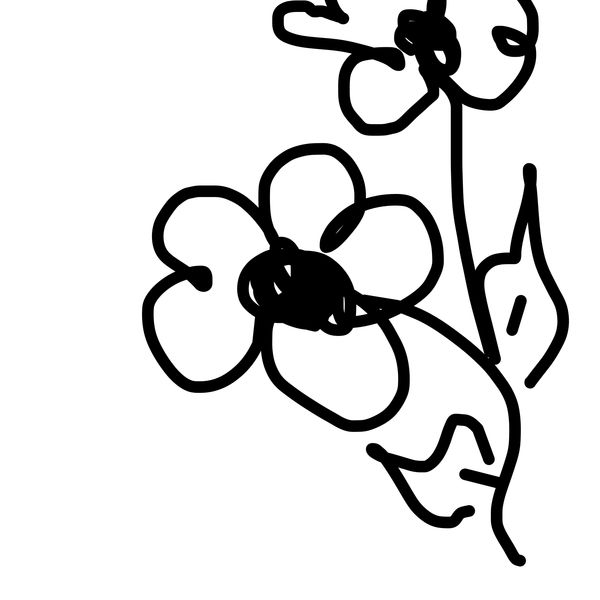 Getadoodle #25249
