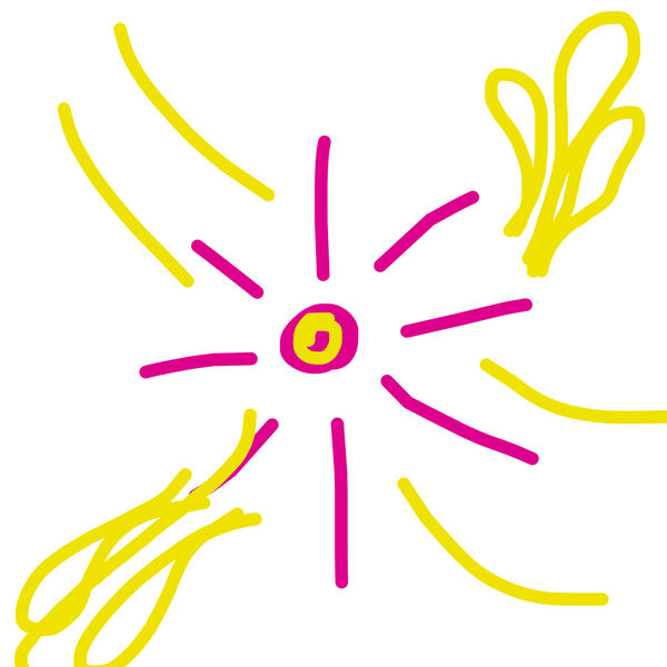 Getadoodle #25306
