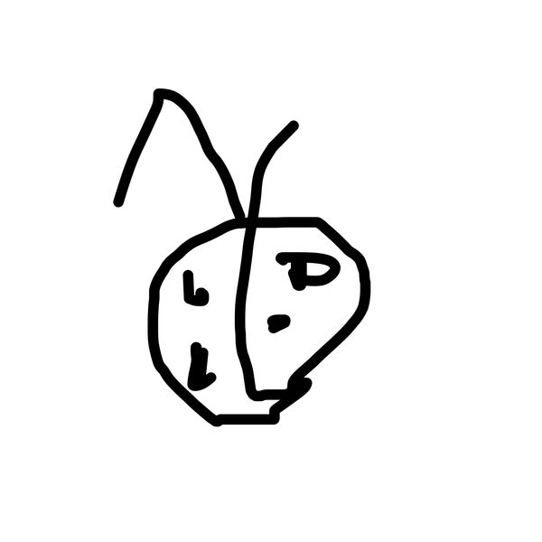 Getadoodle #29175