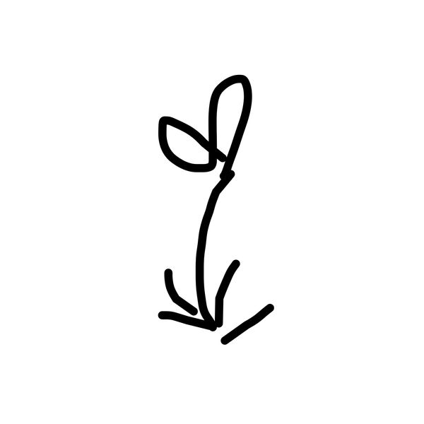 Getadoodle #29529