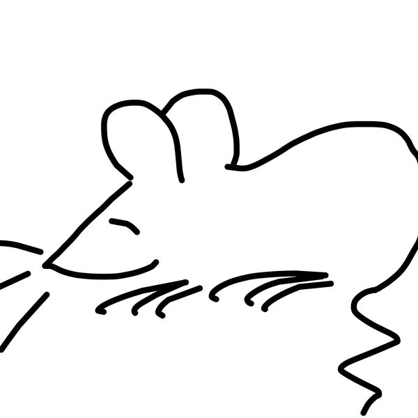 Getadoodle #30319