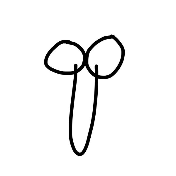 Getadoodle #30353
