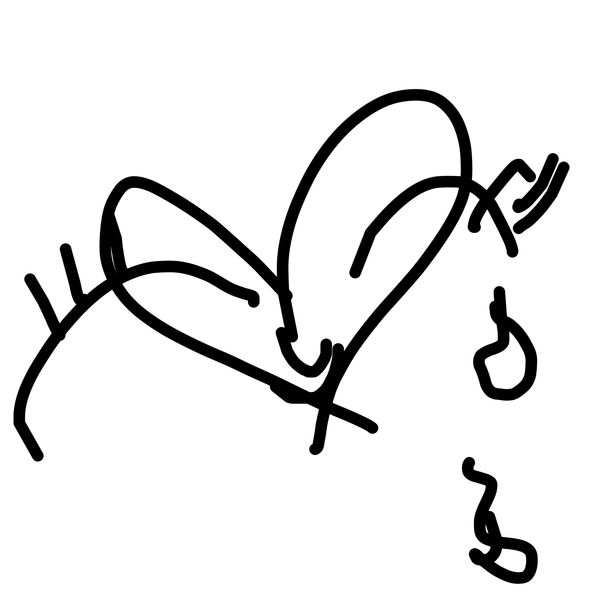 Getadoodle #31267