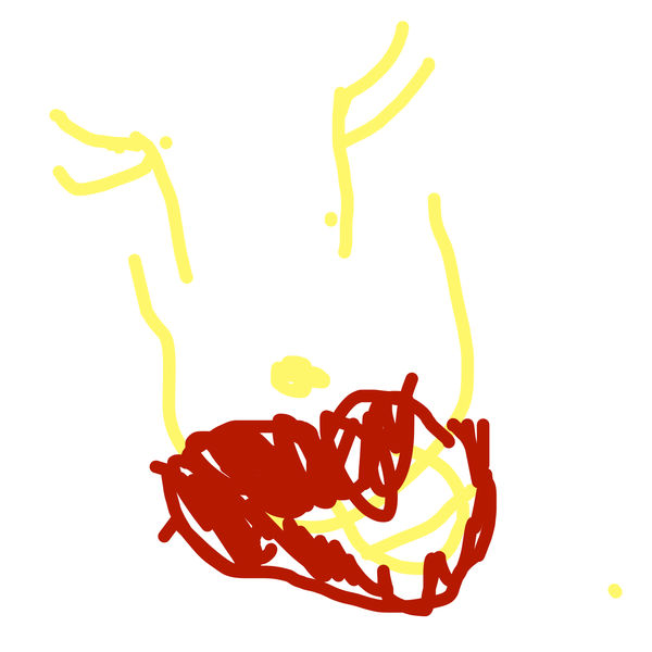 Getadoodle #31359