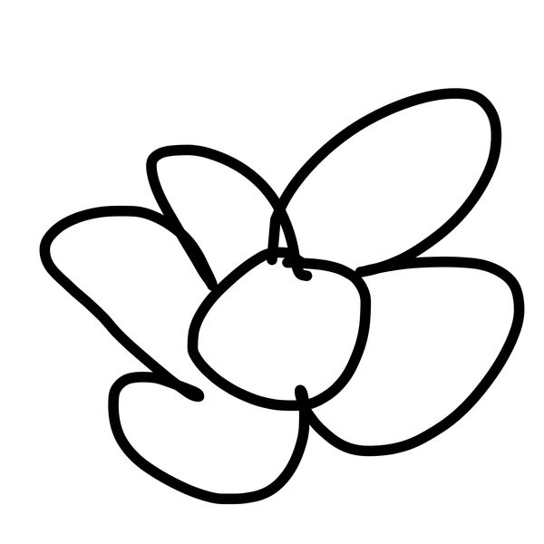 Getadoodle #32056