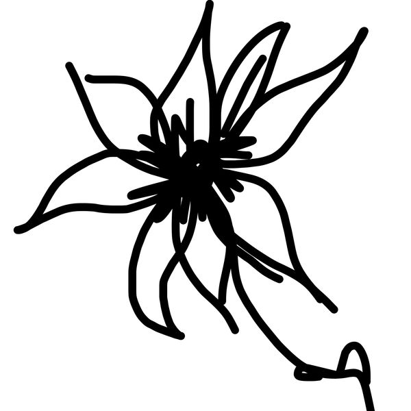 Getadoodle #32088