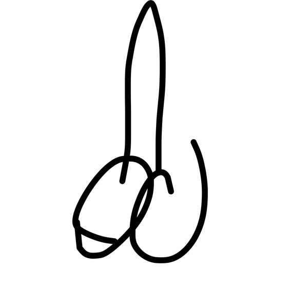 Getadoodle #32303
