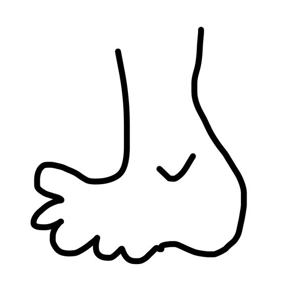 Getadoodle #33967