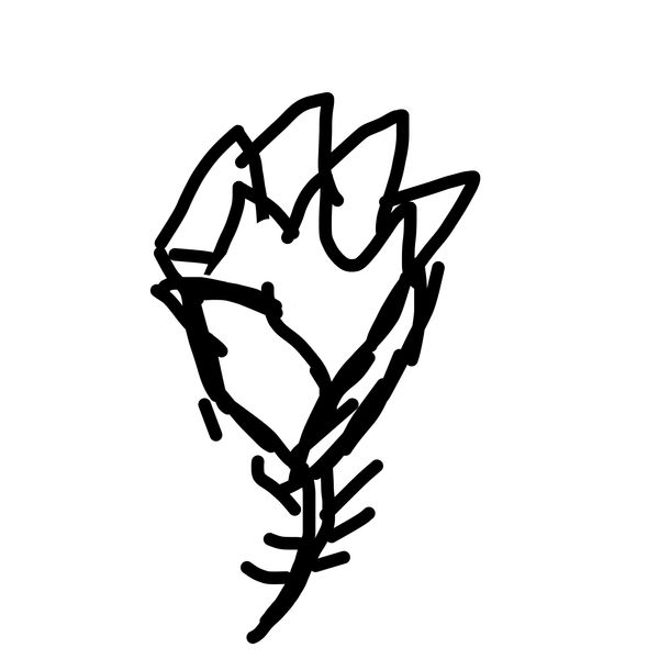 Getadoodle #35476
