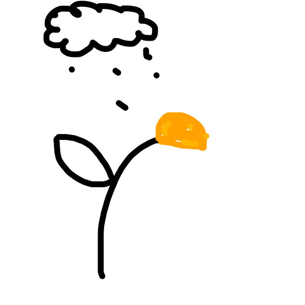 Getadoodle #35712