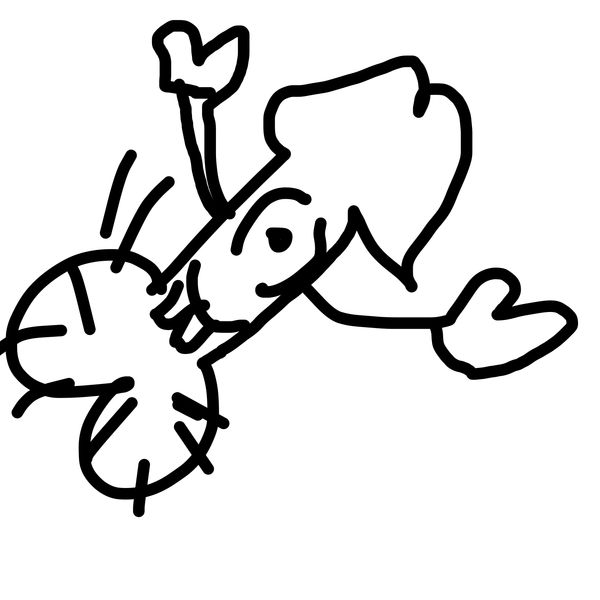 Getadoodle #37257