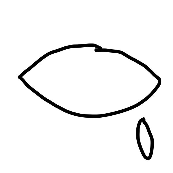 Getadoodle #37363