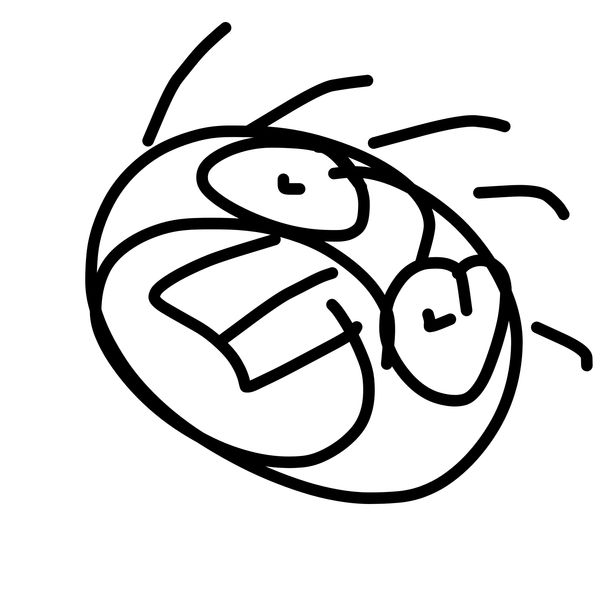 Getadoodle #38631