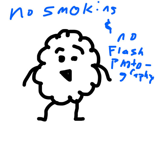 Getadoodle #38780