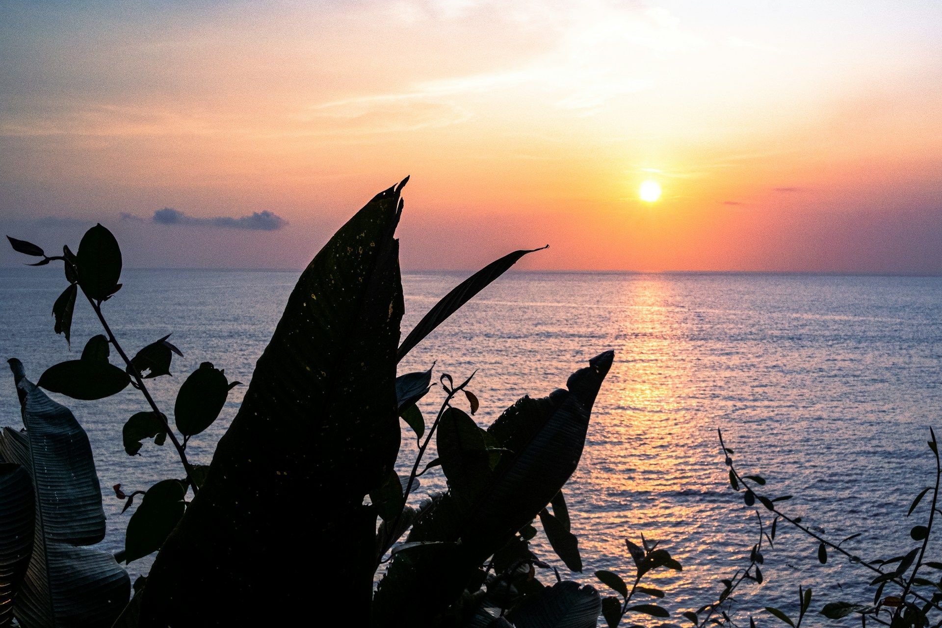 Foto pacifico colombiano
