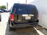 BLACK, 2009 HONDA PILOT Thumnail Image 6