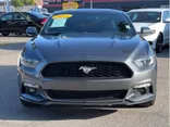 GRAY, 2015 FORD MUSTANG Thumnail Image 8