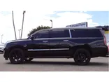 BLACK, 2019 CADILLAC ESCALADE ESV Thumnail Image 2