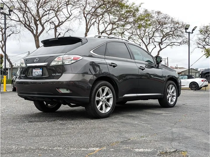 GRAY, 2010 LEXUS RX Image 5