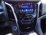 BLACK, 2019 CADILLAC ESCALADE ESV Thumnail Image 18