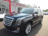 BLUE, 2019 CADILLAC ESCALADE Thumnail Image 3