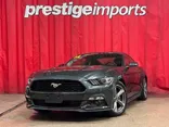 GRAY, 2015 FORD MUSTANG Thumnail Image 1