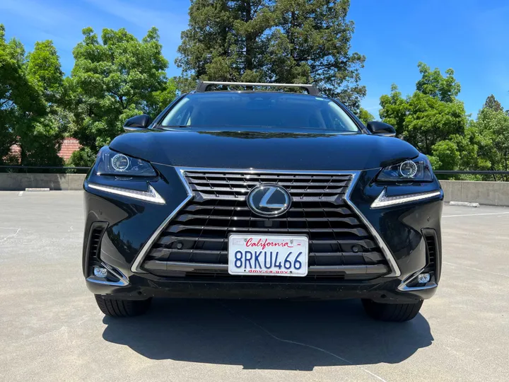 CAVIAR, 2020 LEXUS NX Image 7