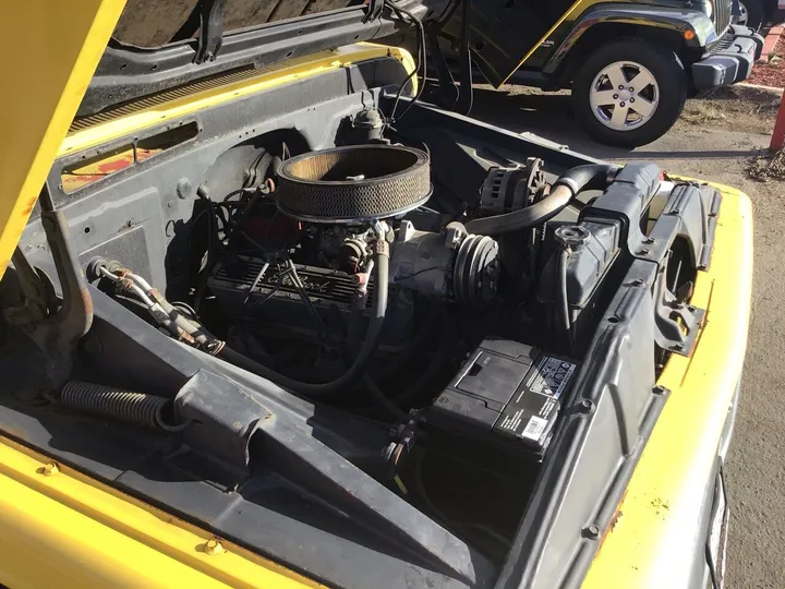 CANARY YELLOW, 1964 CHEVROLET C/K 10 SERIES Image 29