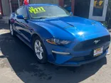 BLUE, 2018 FORD MUSTANG Thumnail Image 2