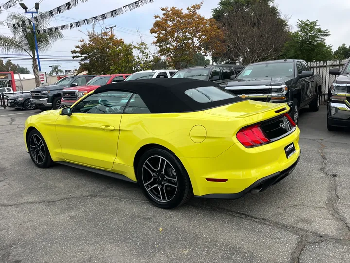 YELLOW, 2021 FORD MUSTANG Image 15