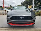 GRAY, 2019 FORD MUSTANG Thumnail Image 11