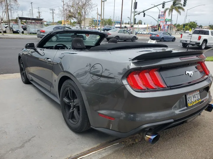 GRAY, 2019 FORD MUSTANG Image 5